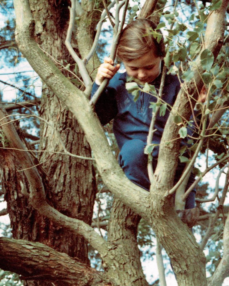 Climbing Trees Without Supervision