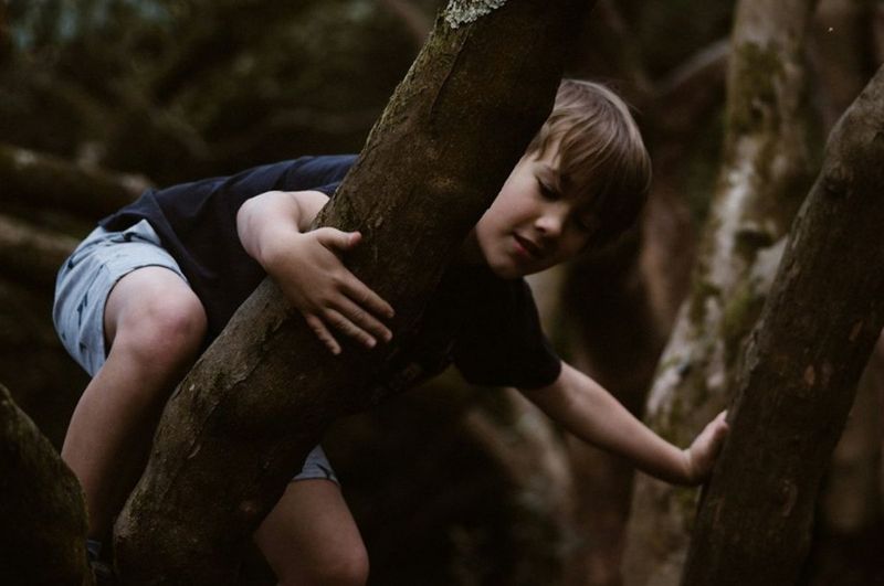 Climbing Trees