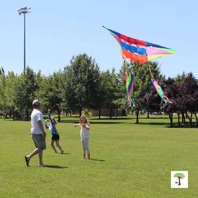 Flying Kites