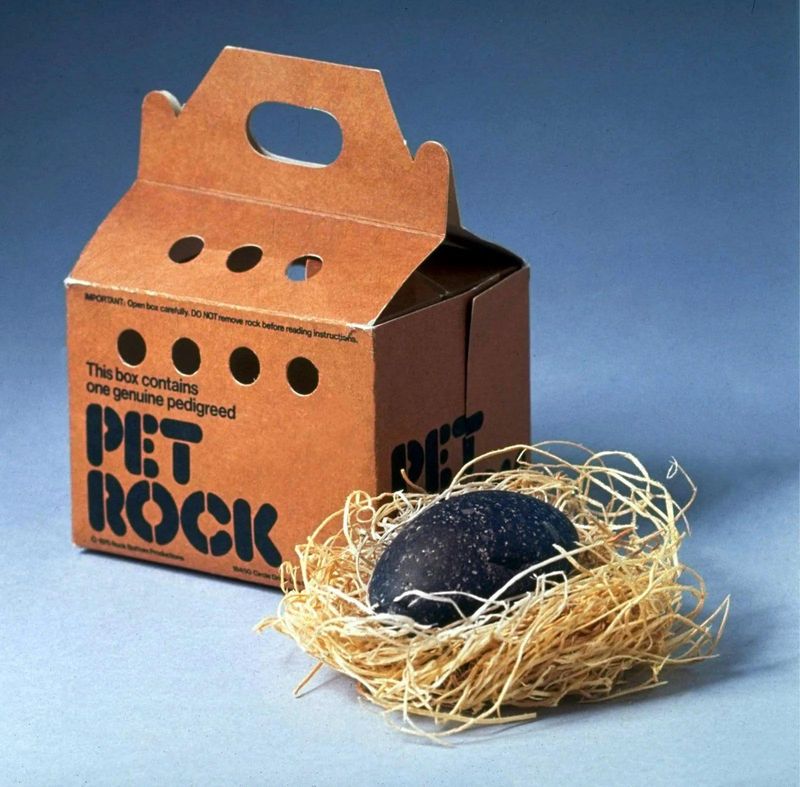 Pet Rock