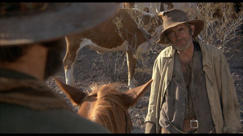 The Culpepper Cattle Co. (1972)