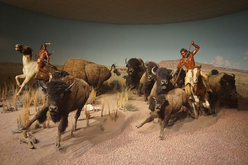 The Importance of Bison to Plains Tribes