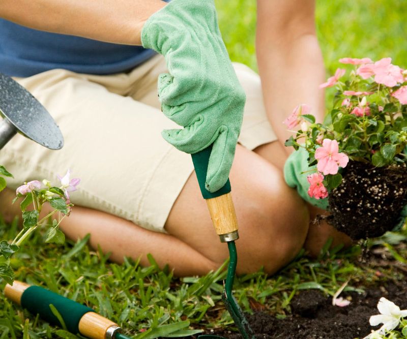 Gardening