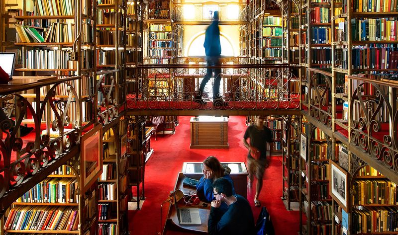 Spending Afternoons at Libraries