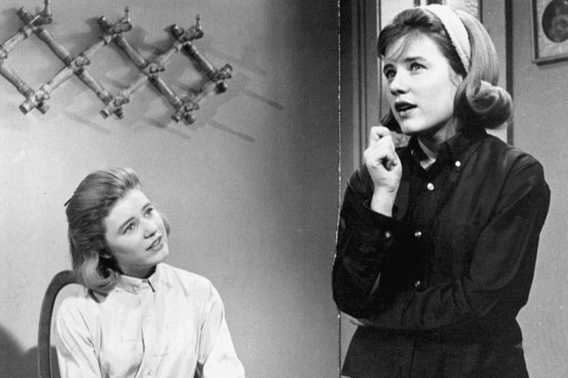 The Patty Duke Show